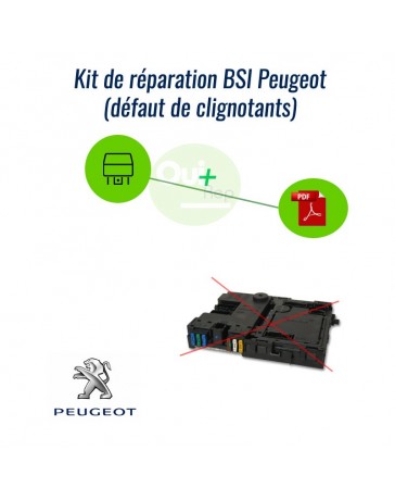 Kit réparation verrou colonne de direction Megane 2 Scenic Clio Espace