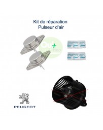 Kit réparation pulseur d'air Peugeot