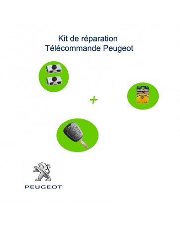 Kit réparation-télécommande-Peugeot